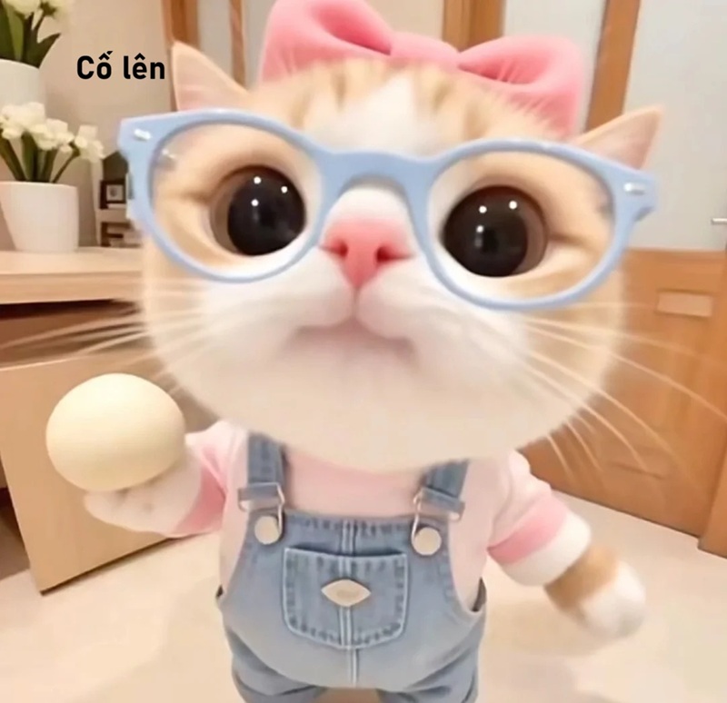 meme cố lên 20
