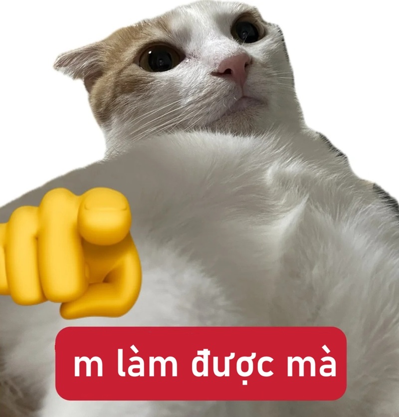 meme cố lên 39