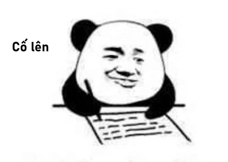 meme cố lên 4