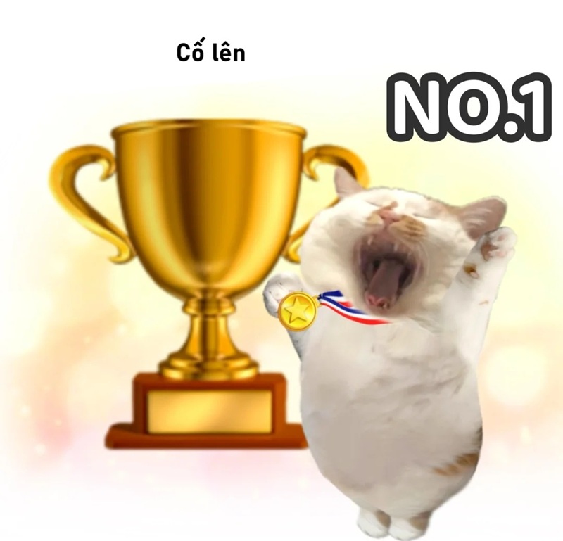 meme cố lên 6