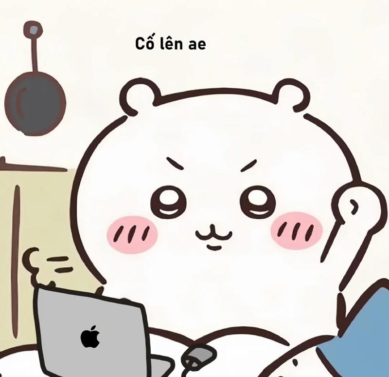 meme cố lên 8