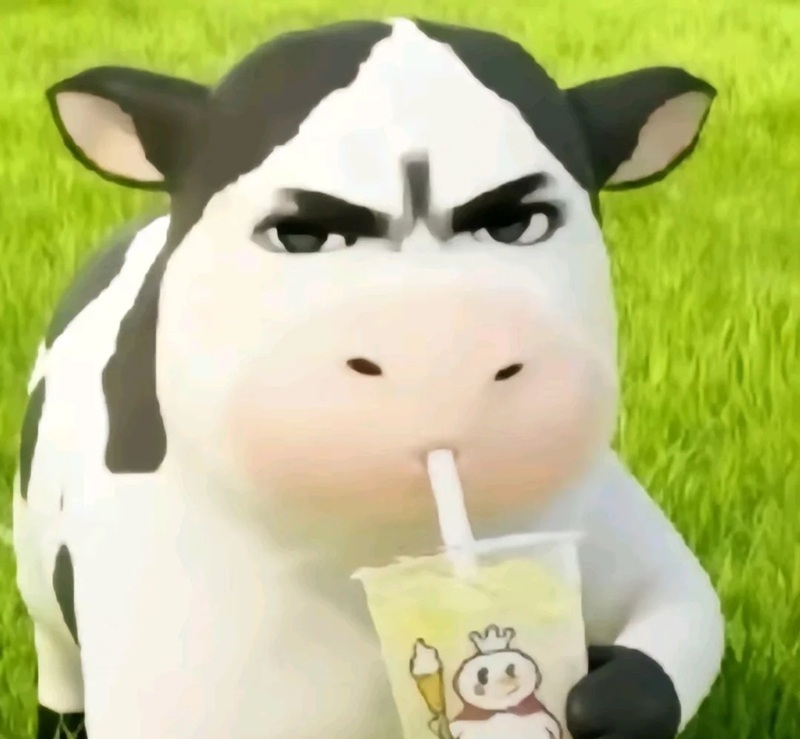 meme con bò 15
