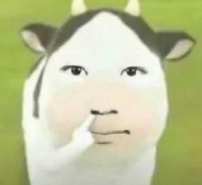 meme con bò 3