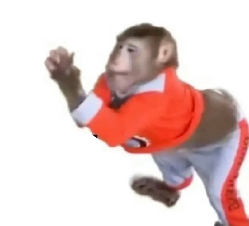 meme con khỉ 39