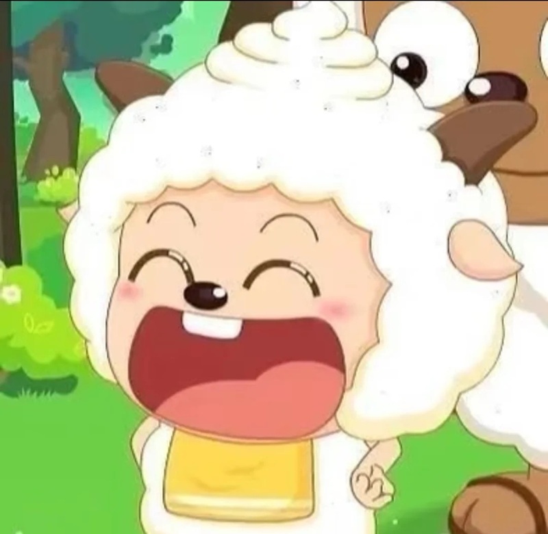 meme cười 24