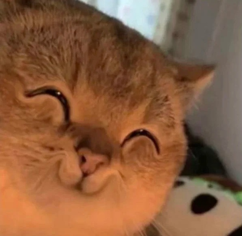 meme cười 27