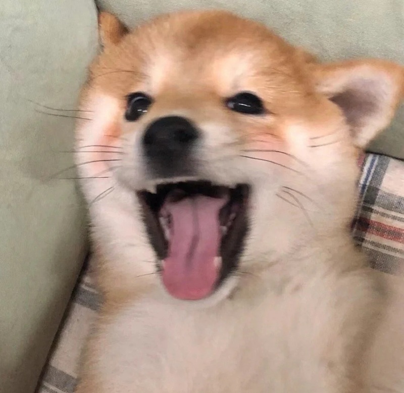 meme cười 30