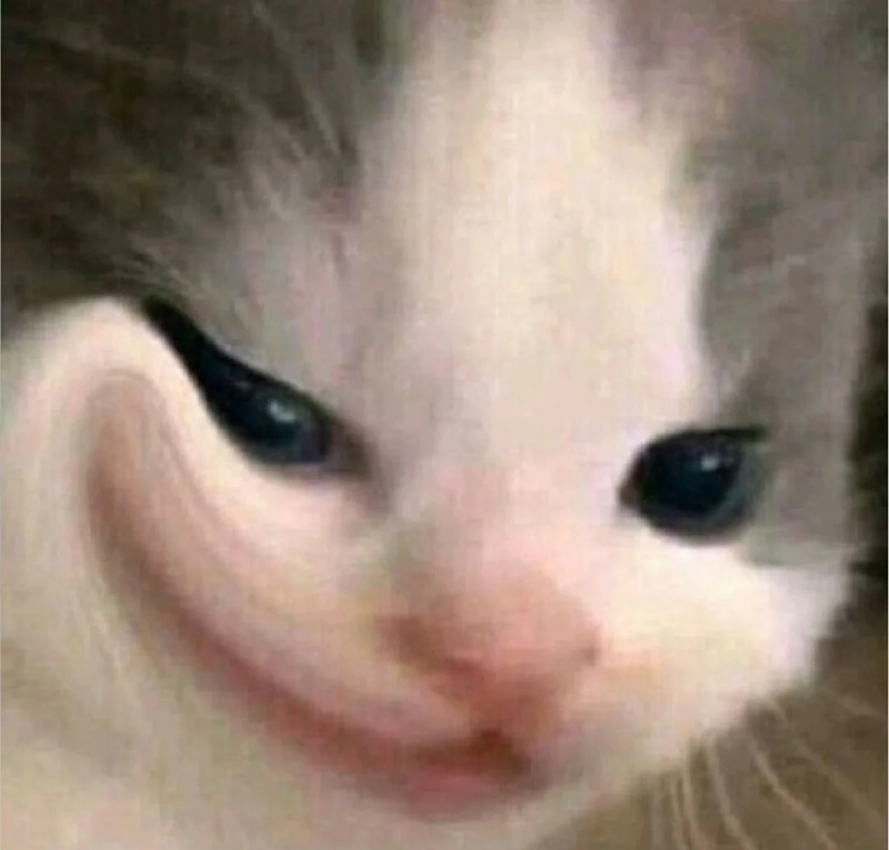 meme cười đểu 1