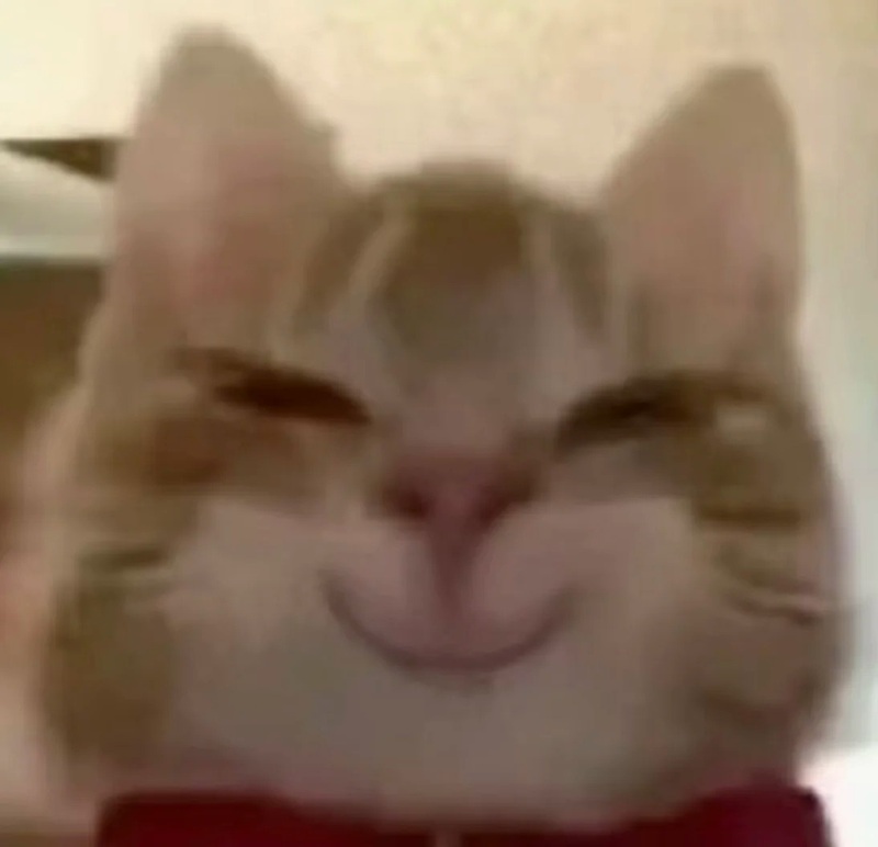 meme cười đểu 12
