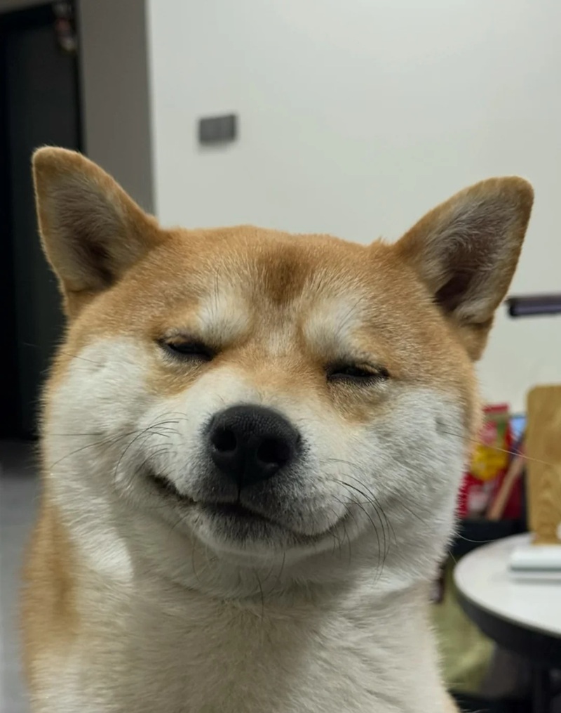 meme cười đểu 26