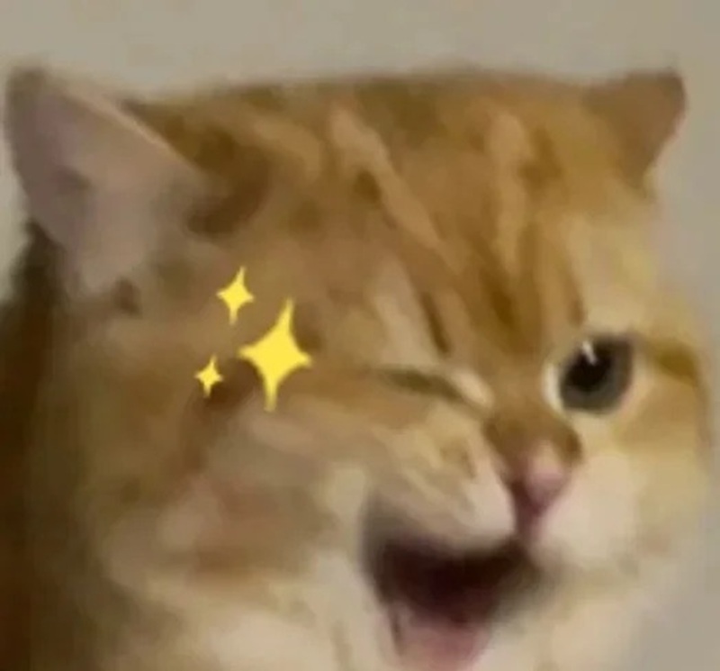 meme cười đểu 31