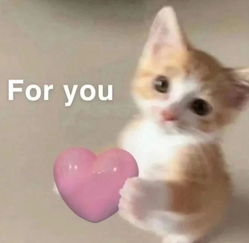 meme cute 13