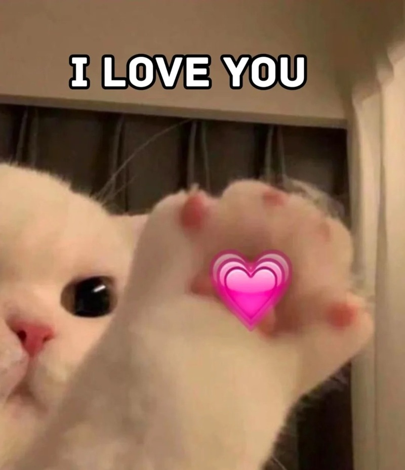 meme cute 15