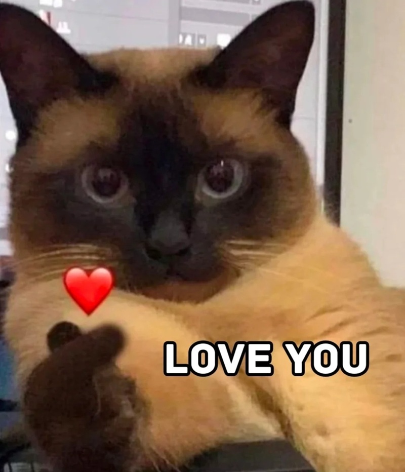 meme cute 16