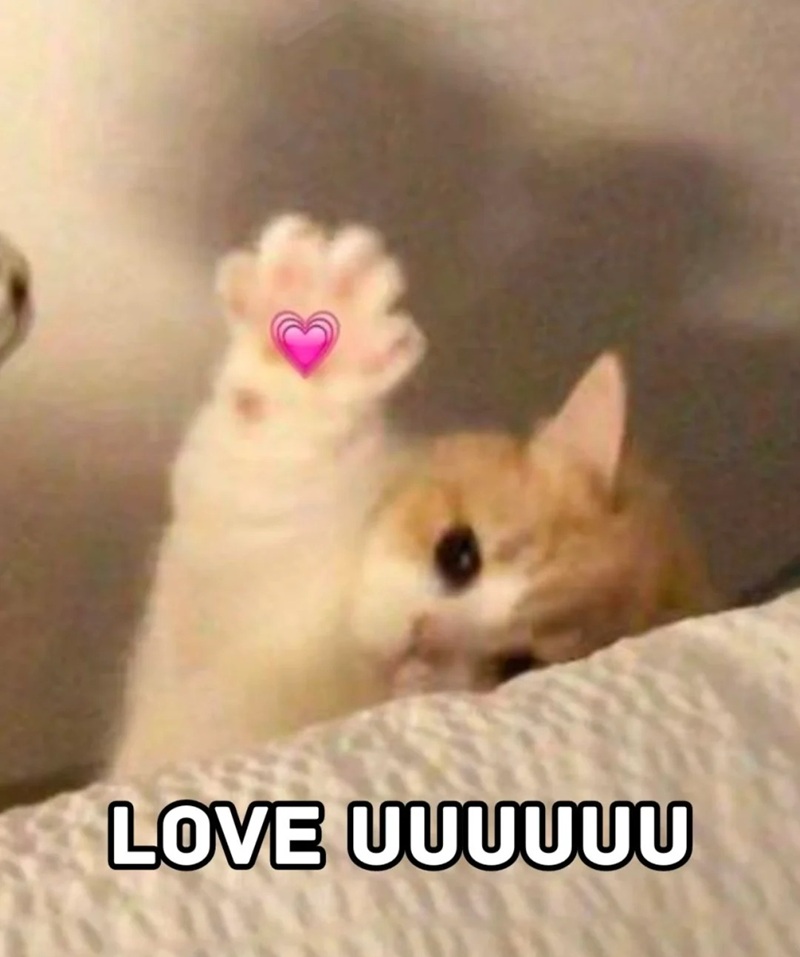 meme cute 17