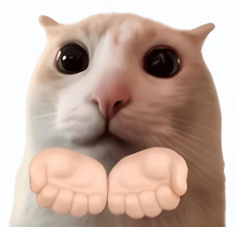 meme cute 29