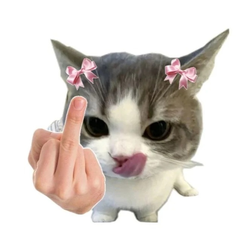 meme cute 34
