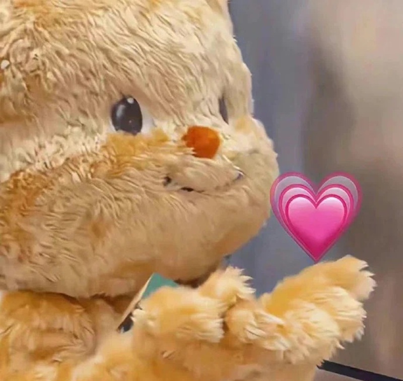 meme cute 39