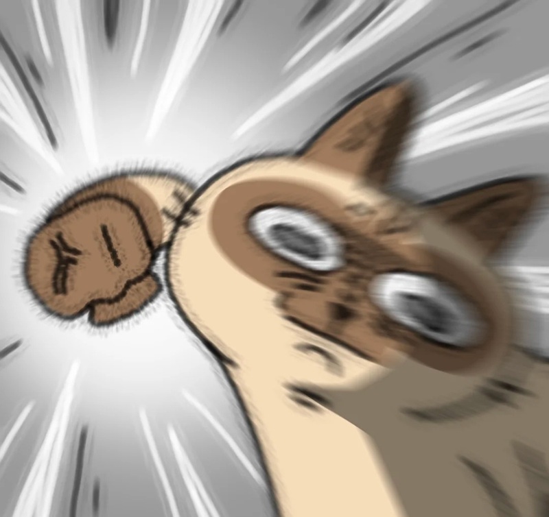 meme đấm 1