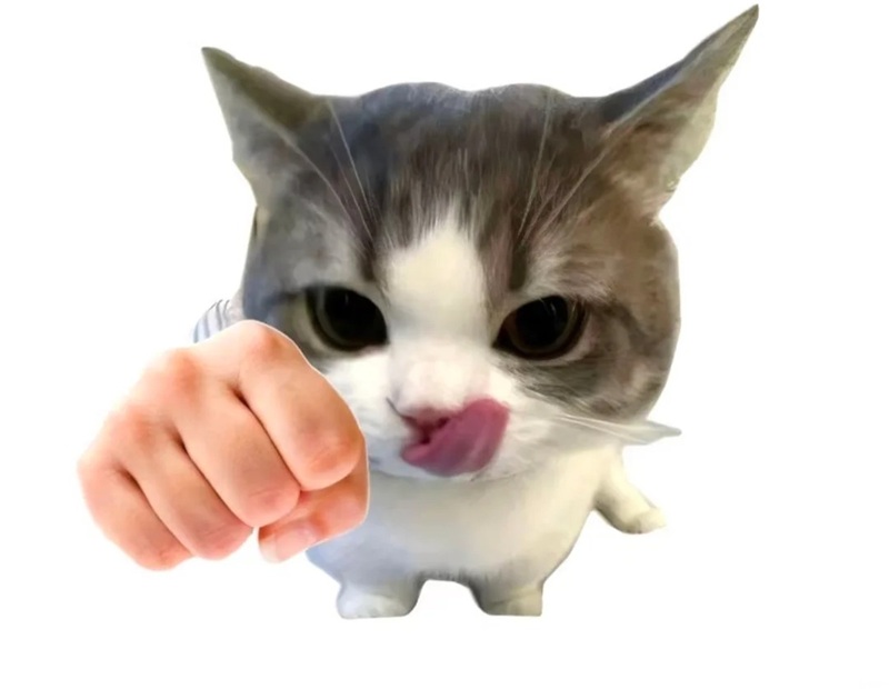 meme đấm 23