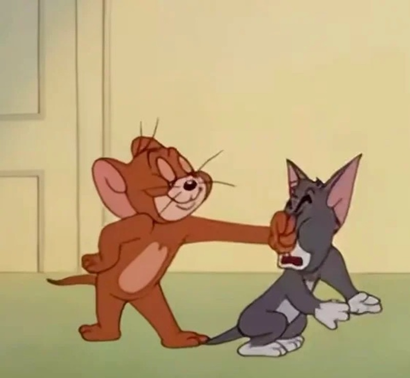meme đấm 30