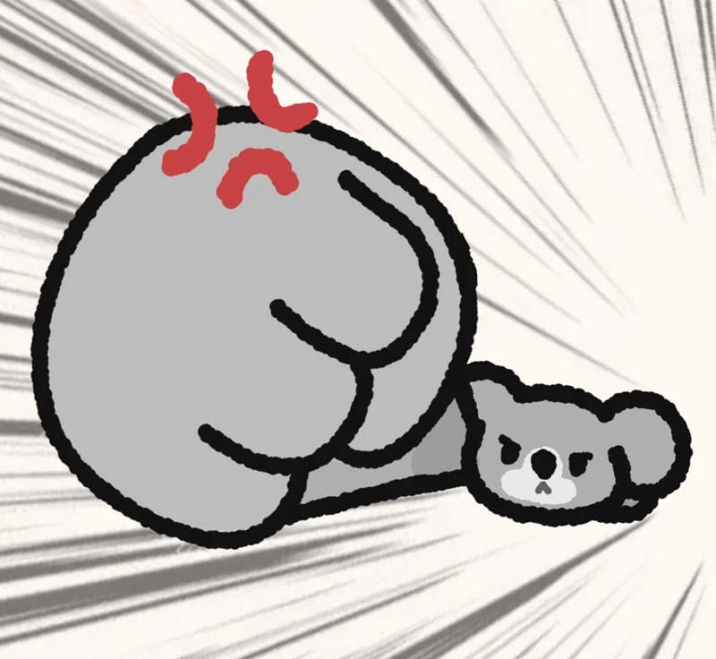 meme đấm 8