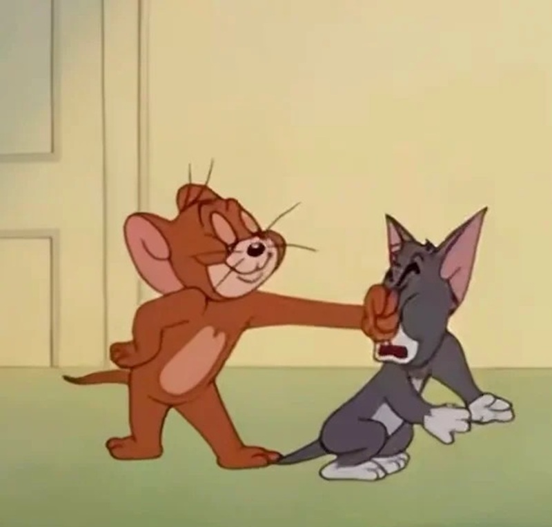 meme đánh 26