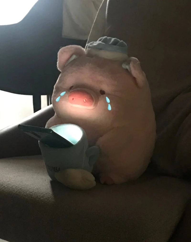 meme dỗi 1