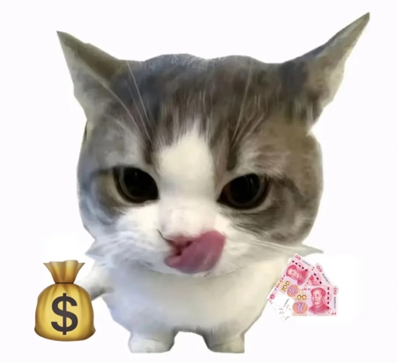 meme đưa tiền 21