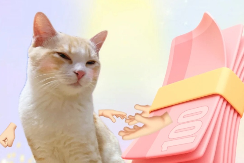 meme đưa tiền 22