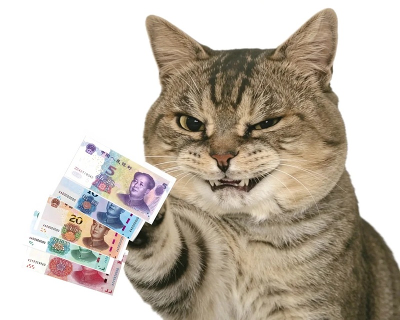 meme đưa tiền 29