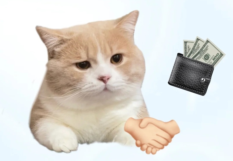 meme đưa tiền 35