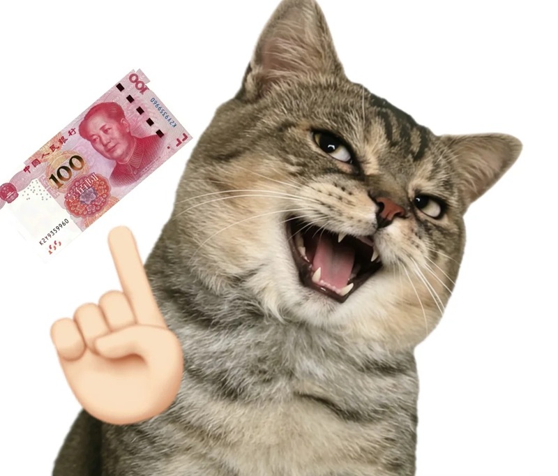 meme đưa tiền 9