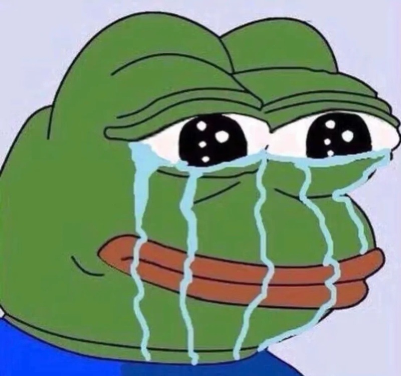 meme ếch 11