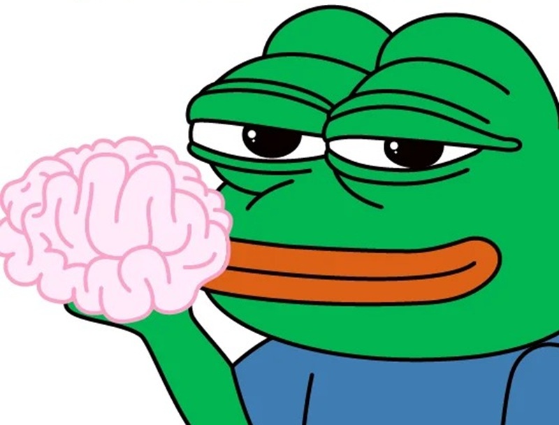 meme ếch 21
