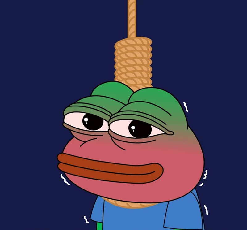 meme ếch 28