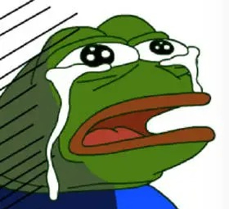meme ếch 3
