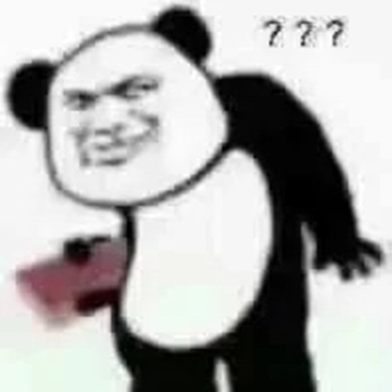 meme gấu 10