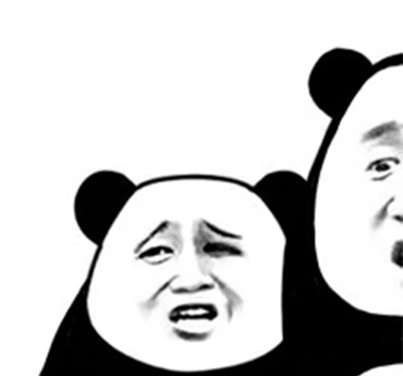 meme gấu 11