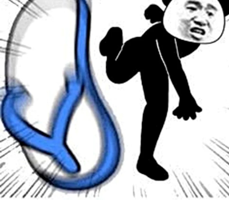 meme gấu 13