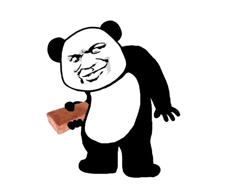 meme gấu 14