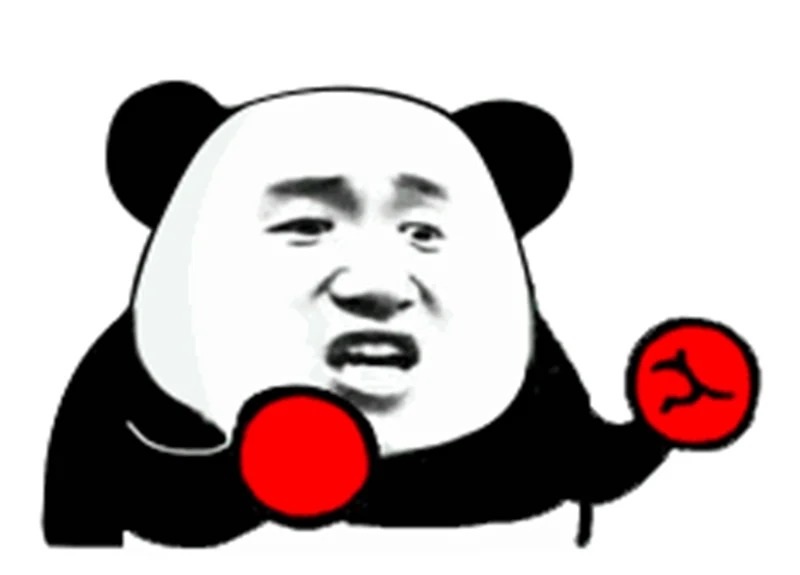meme gấu 15