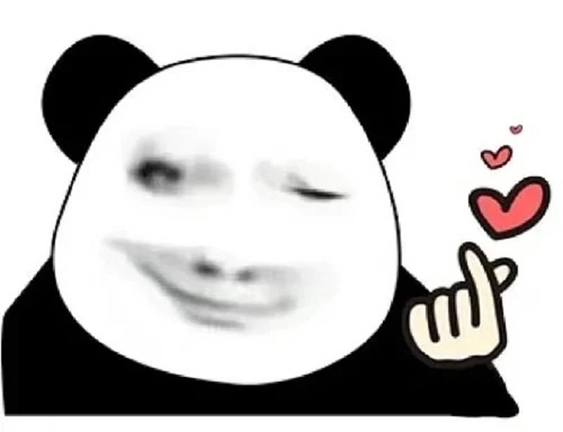 meme gấu 16