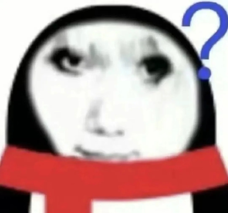 meme gấu 17