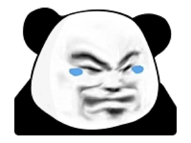 meme gấu 2