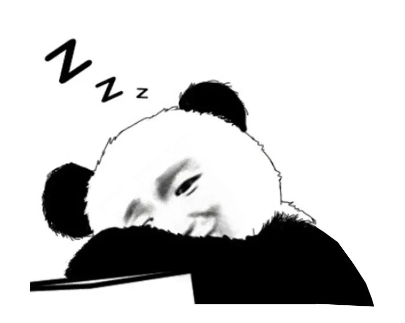 meme gấu 23