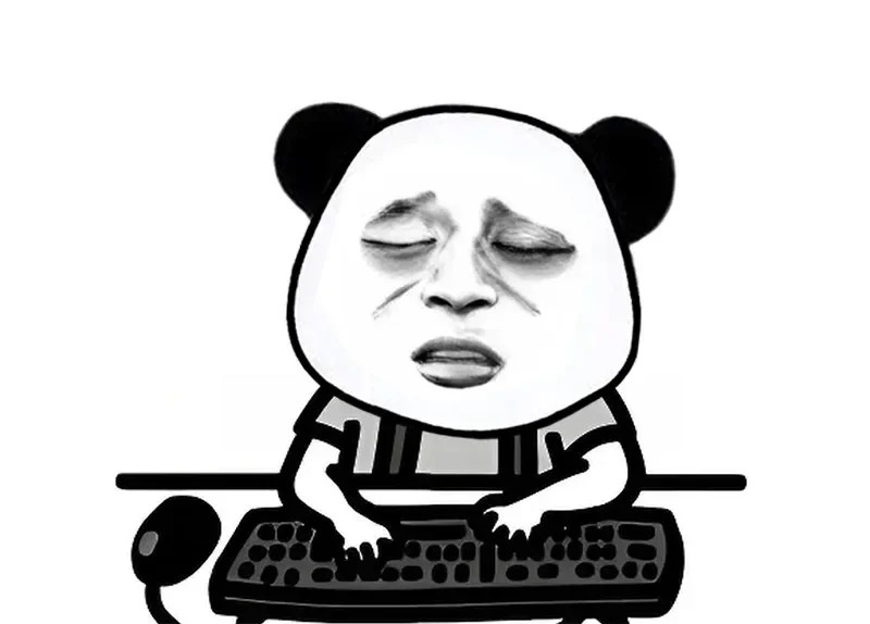 meme gấu 24