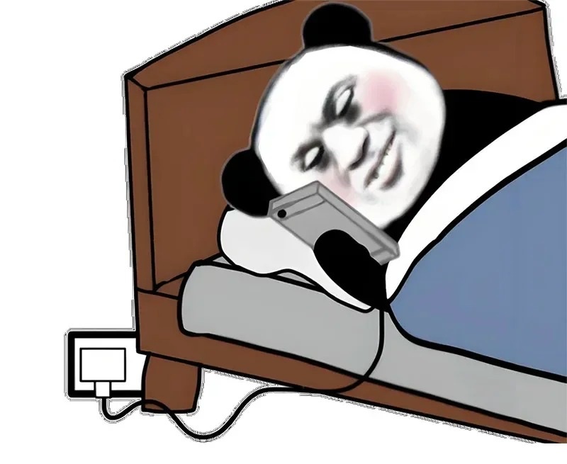 meme gấu 26