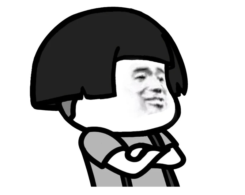 meme gấu 28