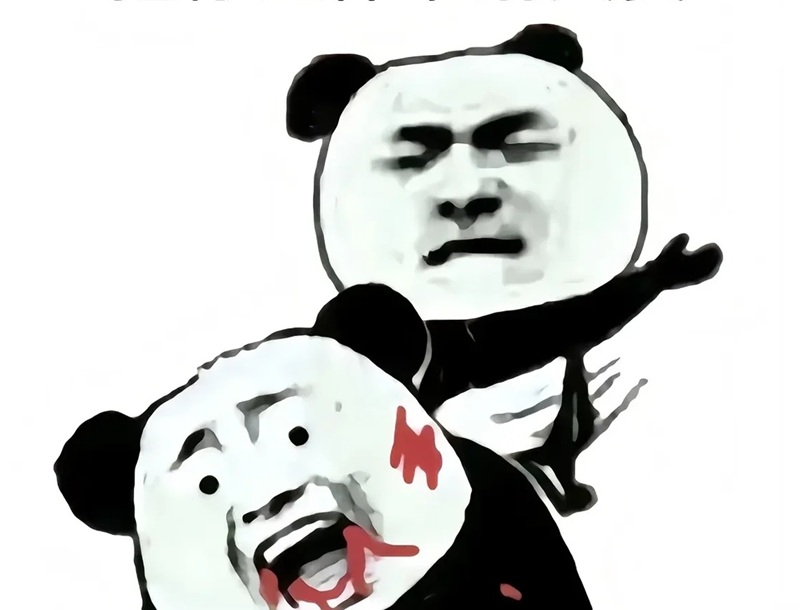 meme gấu 29